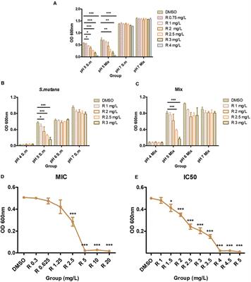 In vitro Antibacterial Activity of an FDA-Approved H+-ATPase Inhibitor, Bedaquiline, Against Streptococcus mutans in Acidic Milieus